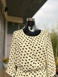 Shrit Dress