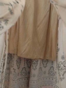 Printed Skirt