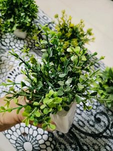 8 Artificial Set of Plants