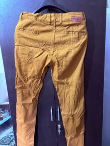 Mustard Casual Trousers