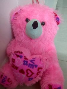 Teddy Bear Soft Toy