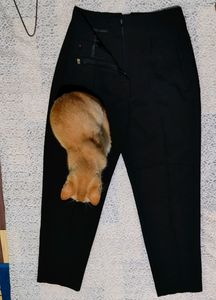 Zara Trouser