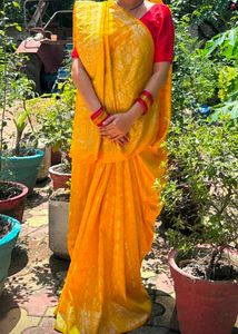 Party Wear Saree