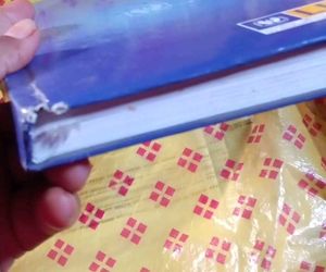 diaries