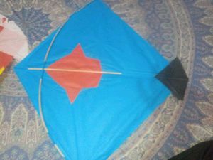 Classic 25 Piece  Blue Kite