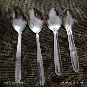 Stainless Steel Spoon