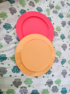 Round Dinner Plates