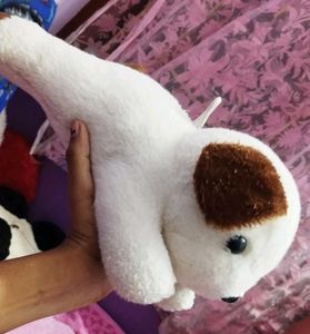 Dog Plush Toy