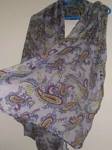 Paisley Print Scarf