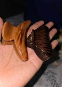 Brown Hair Claw Clip