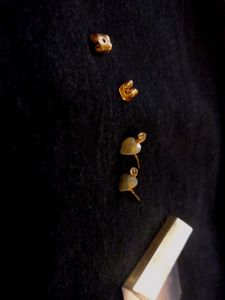 EARNINGS
