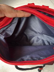 Baggit Bagpack