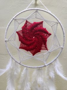 Colour Of Love, Peace, Safety