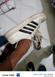 Sparx White Sneaker