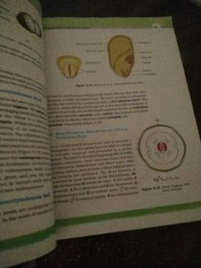 Biology Ncert Class 11+12 Textbook Set