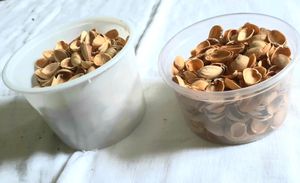 Pista Shells For Art And Craft