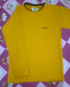 T-Shirt For Men (Zara)