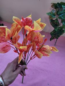 Leaf Bunches
