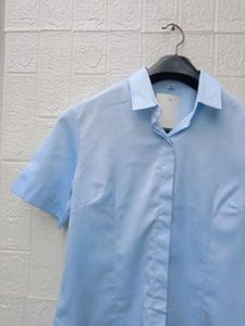 New with tag Cute Light Blue Button-Up Shirt