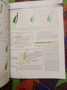 Human Embryology Book