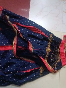 Embroidered Sari Blouse