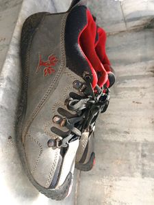 Woodland Shoes Copy 👞(men)