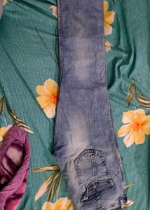 Roadster Straight Fit Pant