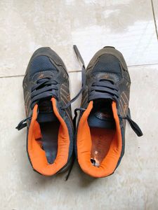 Sport Shoes