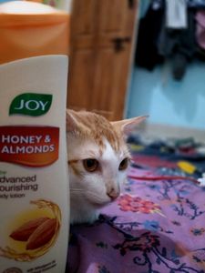 Advance Nourishing Body Lotion Honey &amp; Almond