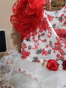 Floral Print Baby Dress