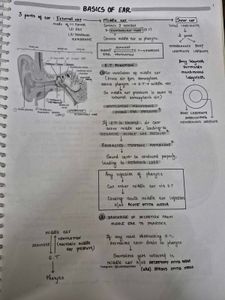 Marrow ENT Notes - Medical Study Aid