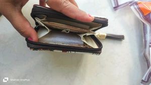 Ethnic Printed Wallet