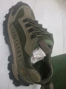 Wood Land Brand New Shoes