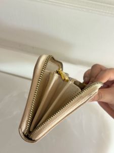 Louis Vuitton Damier Purse