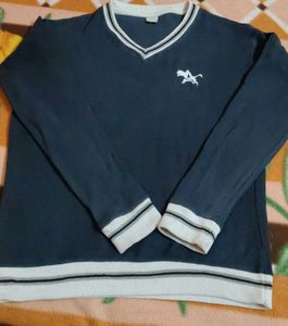 Stylish Blue V-Neck T-Shirt