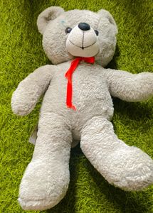 Taddy Bear Soft Toy