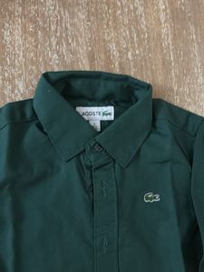 Lacoste Boys Green Shirt