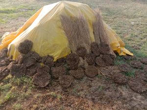 Upla/thepri/Cow Dung Cake