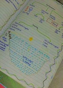 BOTANY NOTES YAKEEN BATCH