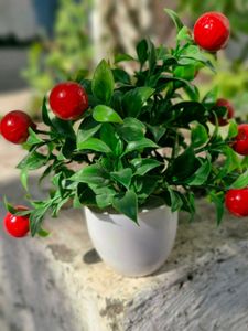Pack Of 2 Artificial Cherry Plant