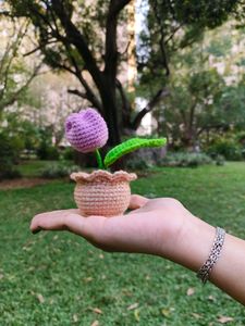 Crochet Flower Pot