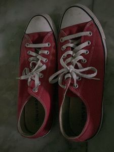 Converse Sneakers