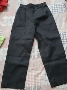 Light Green Party Wear Trousers And Shirt