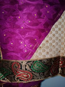 Elegant Saree
