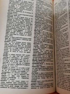 Webster&#39;s Dictionary