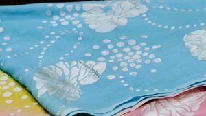 Pastel Multi Color Saree