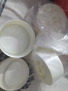 Oliveware Lunch Box