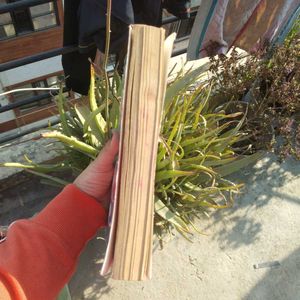 November 9 by Colleen Hoover