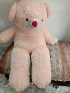 Cash 600 Teddy Bear Special For Valentine