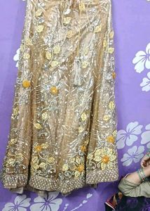 Gorgeous Lehenga Choli